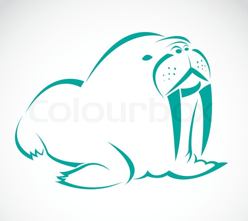 800x711 Vector Image Of An Sea Lion Stock Vector Colourbox