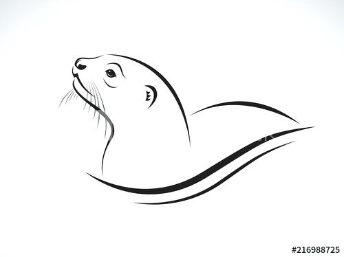 500x374 How To Draw A Small Lion