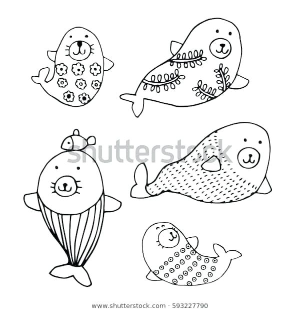 600x620 Sea Lion Coloring