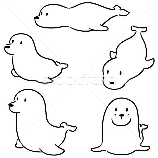 600x600 Vector Set Of Sea Lion Vector Illustration Chotwit Piyapramote