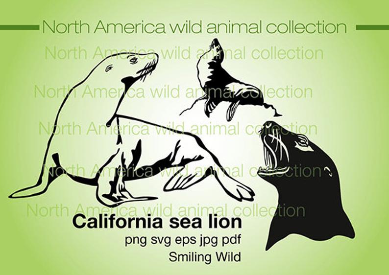 794x562 California Sea Lion Clipart Sea Animal Vector Graphic Art Etsy