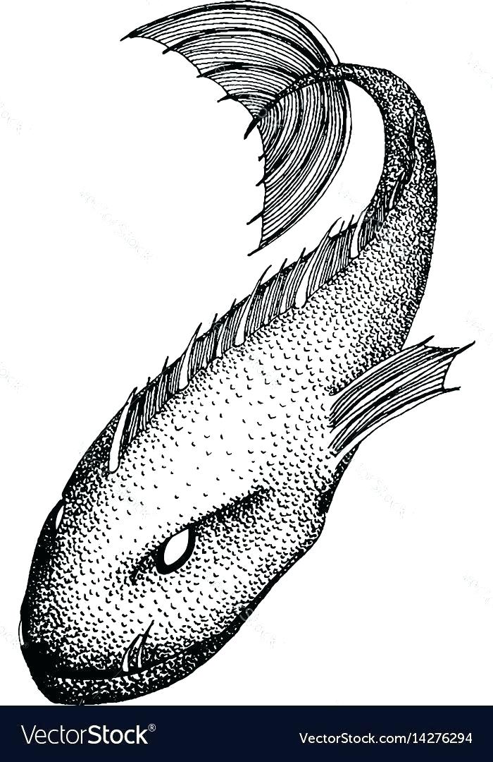 700x1080 How To Draw Sea Monsters