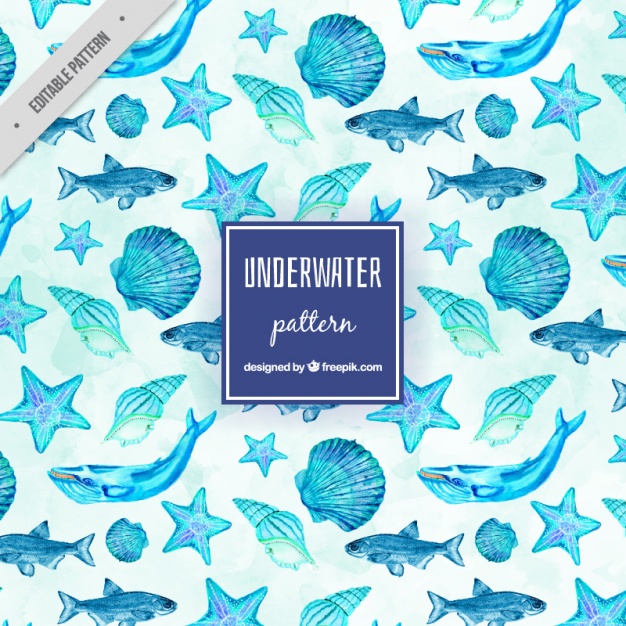 Watercolor Sea Life Pattern Vector Free Download 626x626 Watercolor Sea Life Pattern Vector Free Download