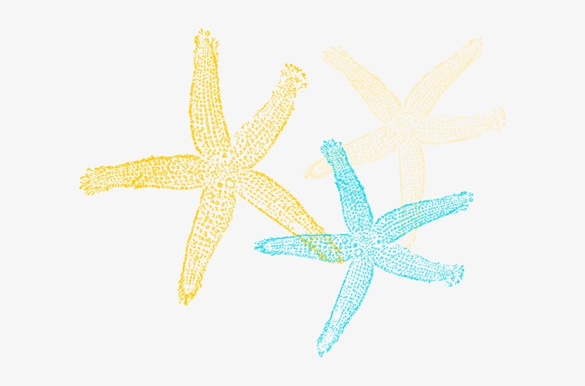 820x541 Sea Star Vector Png Png Image Transparent Png Free Download