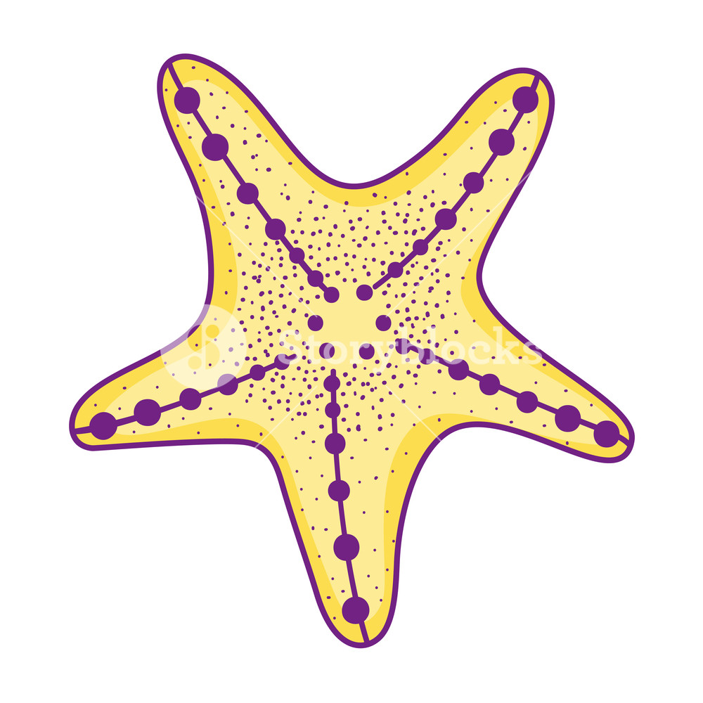 1000x1000 Sea Star Cartoon Vector Illustration Graphic Design Royalty Free