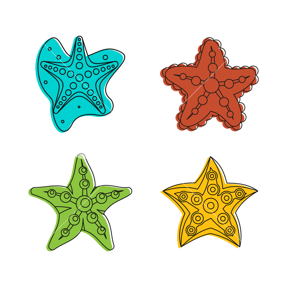 1000x1000 Sea Star Icon Set Color Outline Set Of Sea Star Vector Icons