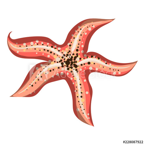 500x500 Sea Star Icon Cartoon Of Sea Star Vector Icon For Web Design