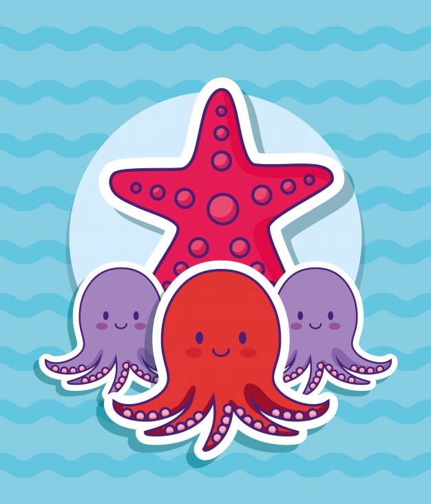 626x731 Seastar Vectors, Photos And Free Download