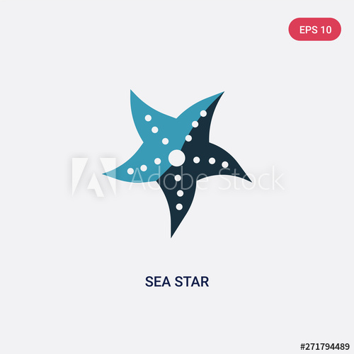 500x500 Two Color Sea Star Vector Icon From Summer Concept Isolated Blue