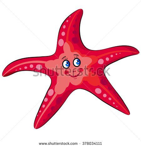 450x470 Marine Life Sea Star Vector Illustration For Children