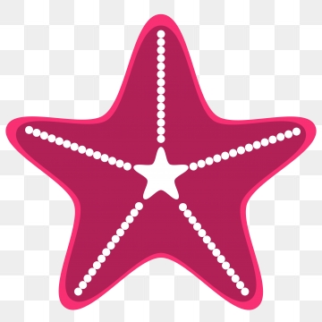 360x360 Sea Star Png, Vector, And Clipart With Transparent Background