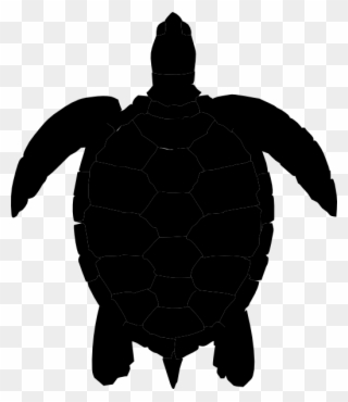 320x370 Turtle Silhouette Clipart, Transparent Turtle Silhouette Clip Art