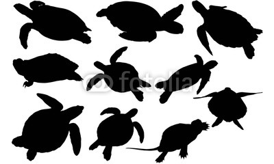 400x240 Turtle Silhouette Vector Graphics Buy Photos Ap Images
