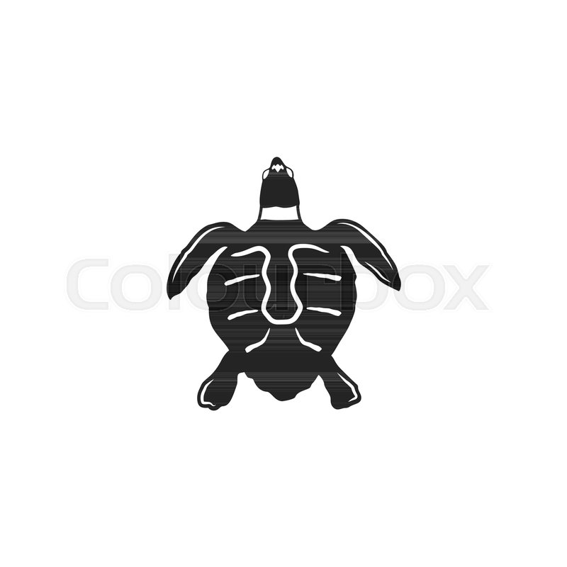 800x800 Turtle Silhouette Shape Wild Animal Stock Vector Colourbox