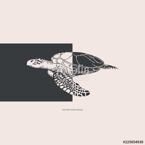 500x500 Vector Illustration Sea Turtle Silhouette Vector Card Cover