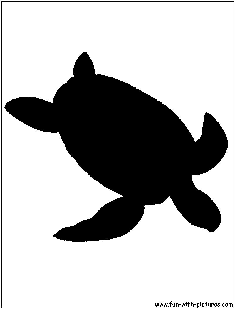 800x1050 Green Sea Turtle Silhouette