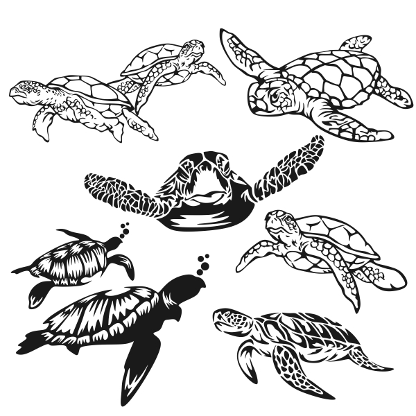 600x600 Hawaiian Sea Turtle Silhouette