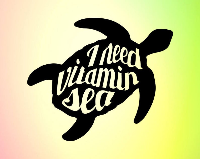 794x630 I Need Vitamin Sea Vitamin Sea Vitamin Sea Decal Turtle Etsy