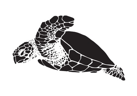 Sea Turtle Vector