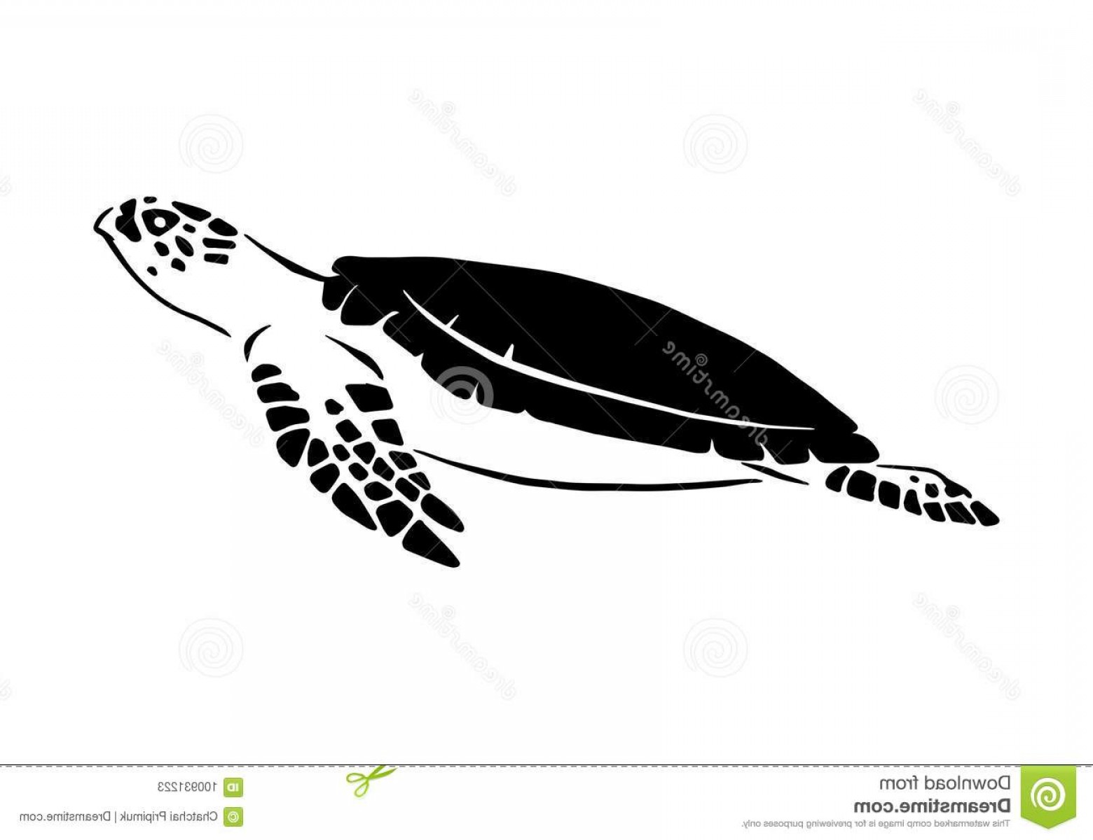 1560x1200 Graphic Sea Turtle White Background Graphic Sea Turtle Vector