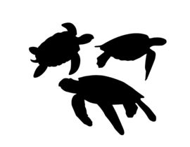 270x210 I Need Some Graphic Design For A Sea Turtle Vector Freelancer