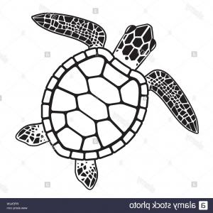 300x300 Photostock Vector Cute Sea Turtle Cartoon Catchsplace