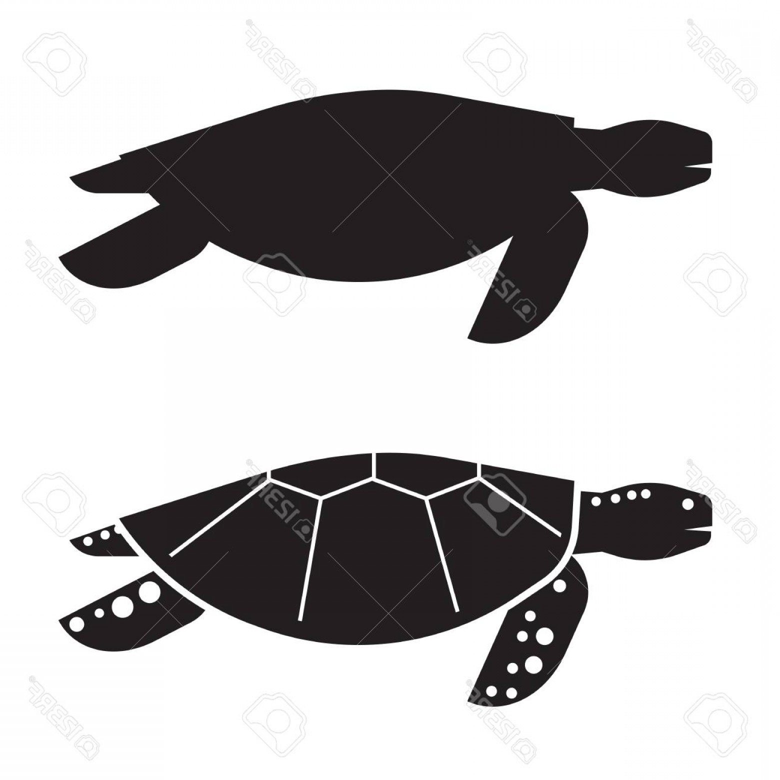 1560x1560 Photostock Vector Sea Turtle Vector Illustration In Outline Design