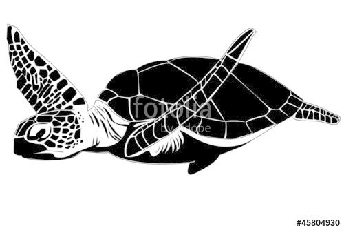 500x334 Sea And Other Turtles Turtle Silhouette, Sea