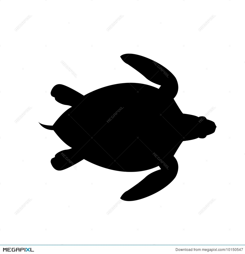 800x830 Sea Turtle Vector Silhouette Illustration