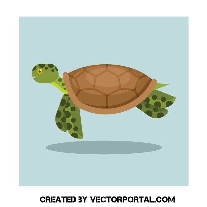 660x660 Sea Turtle Vector Clip Art