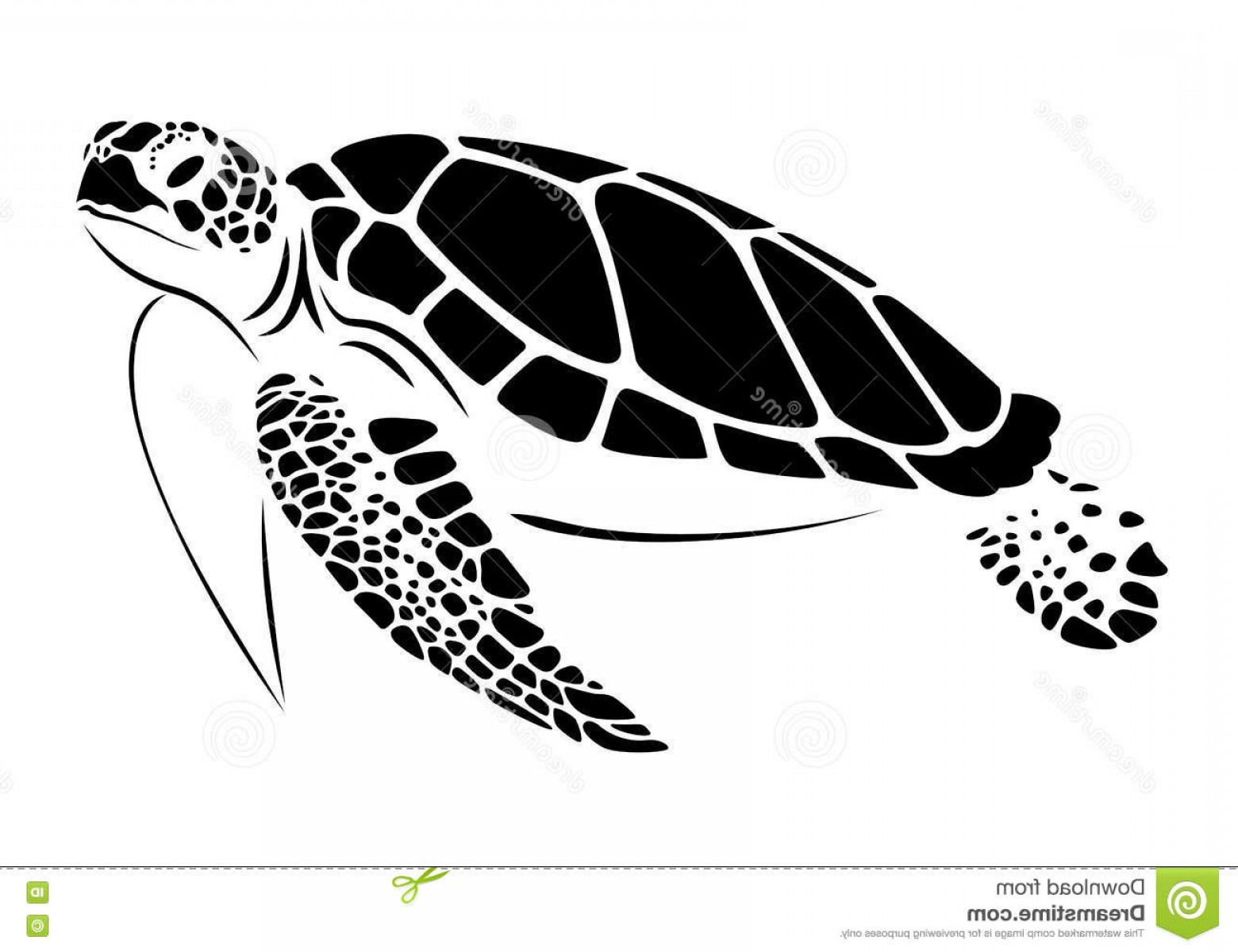 Sea Turtle Vector At Vectorified Com Collection Of Sea Turtle Vector   Sea Turtle Vector 26 