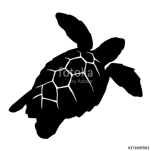 500x500 Graphic Sea Turtle, Vector Stock Image And Royalty Free Vector
