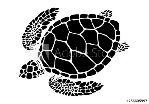 500x350 Graphic Sea Turtle,vector Illustration Of Sea Turtle