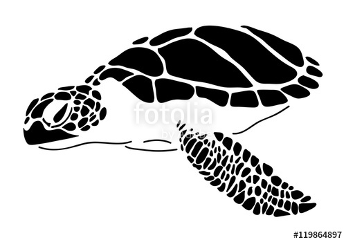500x350 Sea Turtle, Vector Stock Image And Royalty Free Vector