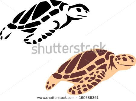 450x335 Sea Turtle