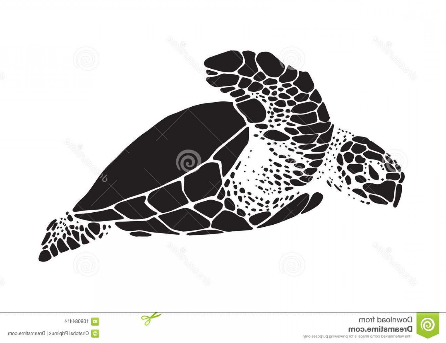 Sea Turtle Vector at Vectorified.com | Collection of Sea Turtle Vector ...