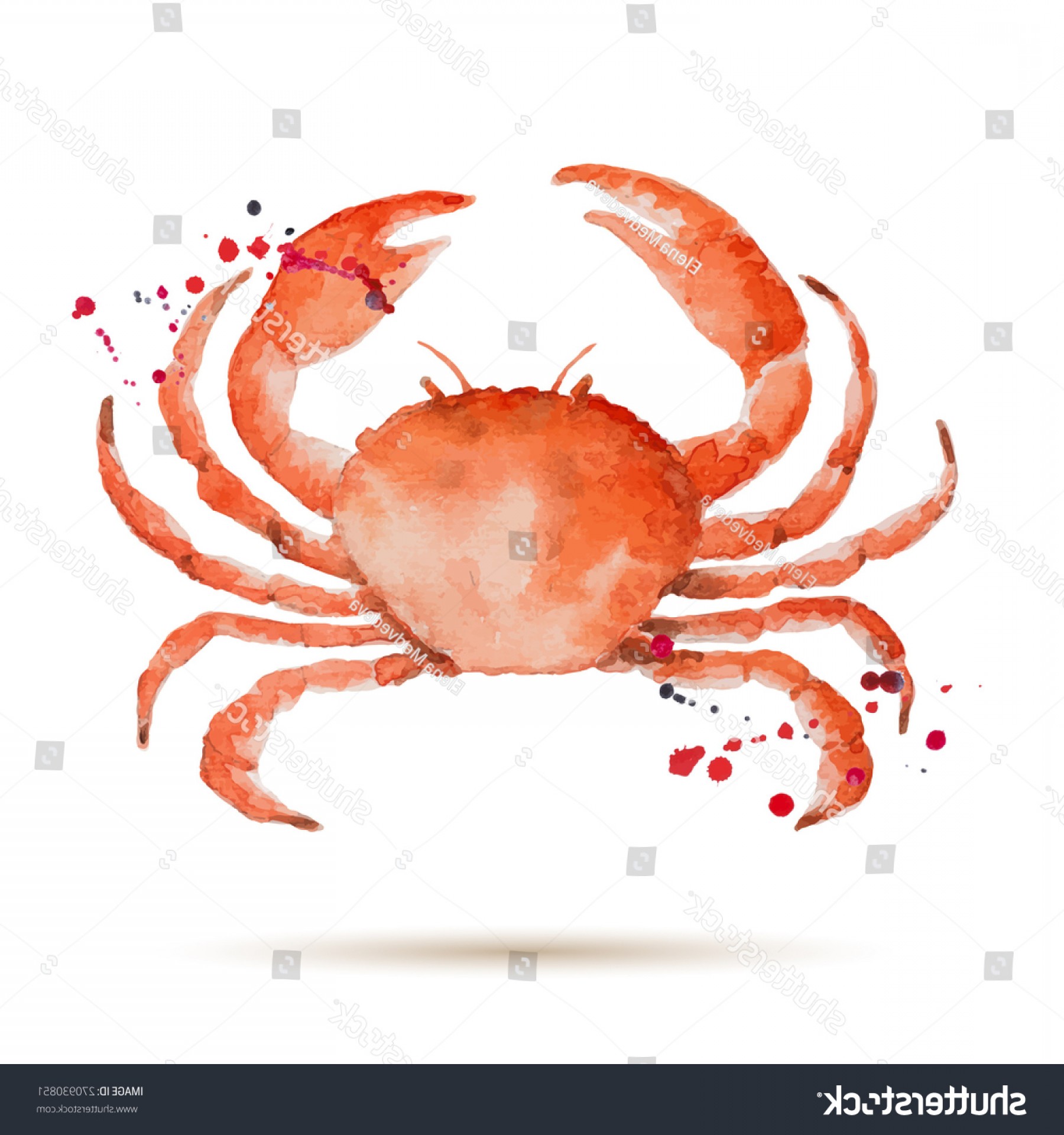 Seafood Vector Catchsplace 1800x1920 Seafood Vector Catchsplace