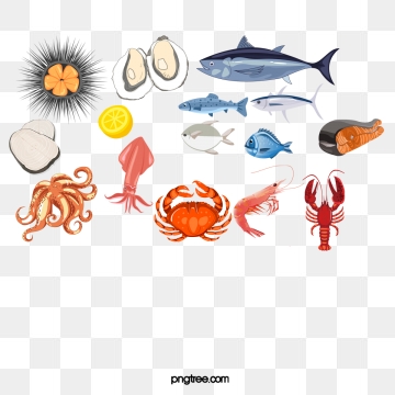 Seafood Vector Png, Vector, And Clipart With Transparent 360x360 Seafood Vector Png, Vector, And Clipart With Transparent