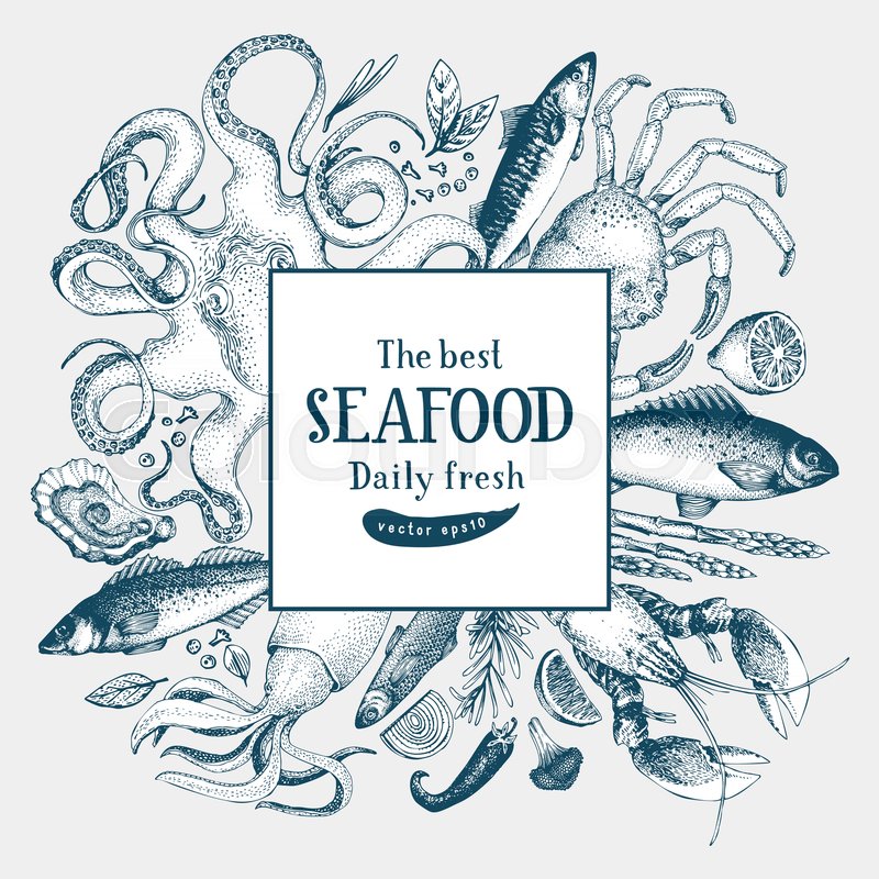 Seafood Vector Frame Illustration Can Stock Vector Colourbox 800x800 Seafood Vector Frame Illustration Can Stock Vector Colourbox