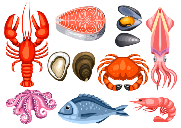 Different Seafood Illustration Vector Free Download 600x424 Different Seafood Illustration Vector Free Download