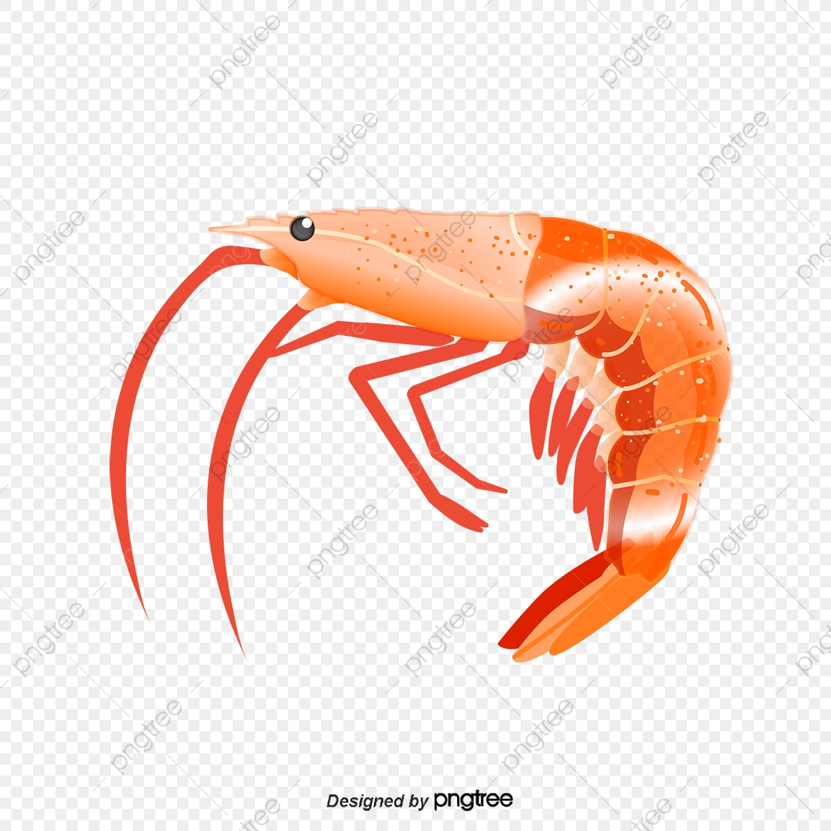 Exquisite Seafood Vector Elements, Exquisite Seafood, Realism 1200x1200 Exquisite Seafood Vector Elements, Exquisite Seafood, Realism