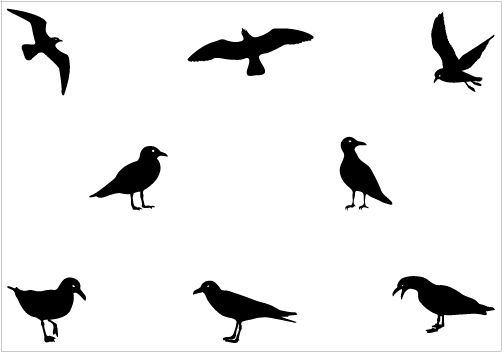 502x352 Seagull Silhouette Vector Graphics Pack Birds Vector Graphics