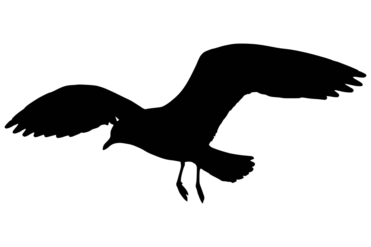 1280x853 Seagull Clipart For Free Download And Use Images