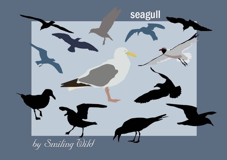 794x561 Seagull Bird Silhouettes Waterfowl Clipart Printable Gift Etsy