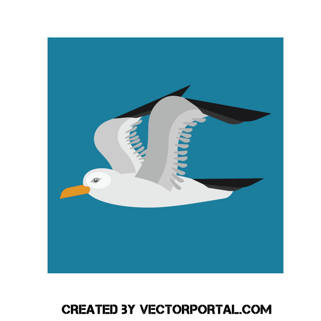 660x660 Seagull Vector Graphic