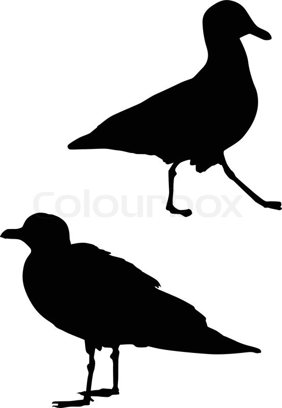 554x800 Silhouette Of A Seagull Stock Vector Colourbox