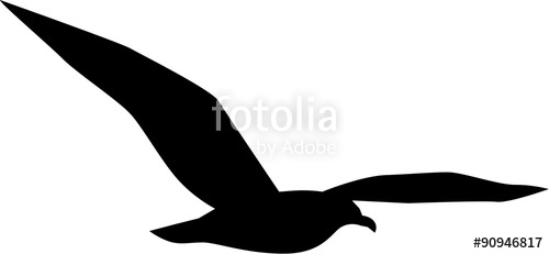 500x231 Simple Seagull Flying Stock Image And Royalty Free Vector