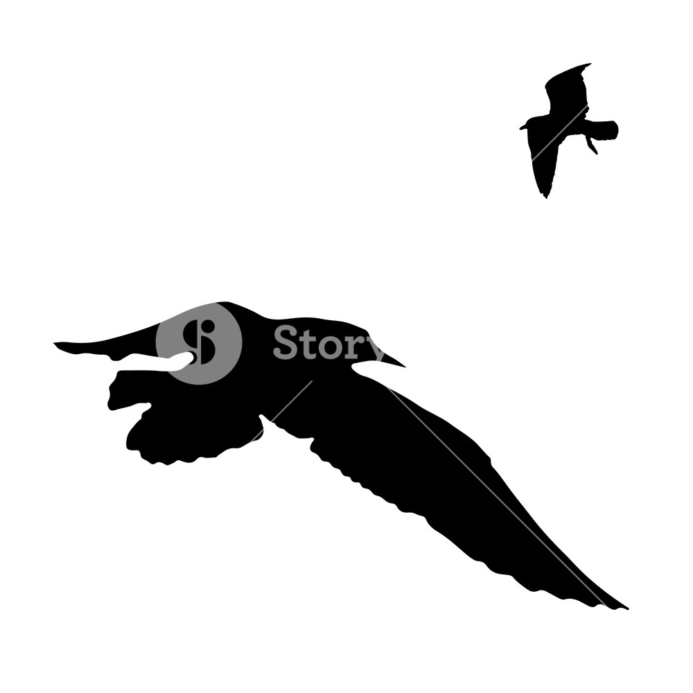 1000x1000 Vector Set