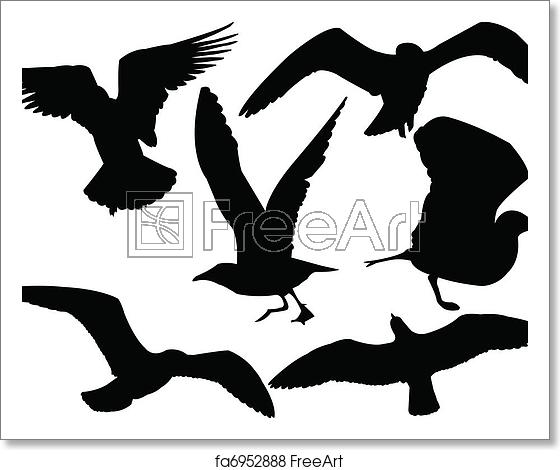 560x470 Free Art Print Of Seagull Collection