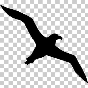 310x310 Seagull Vector Png Cliparts For Free Download Uihere